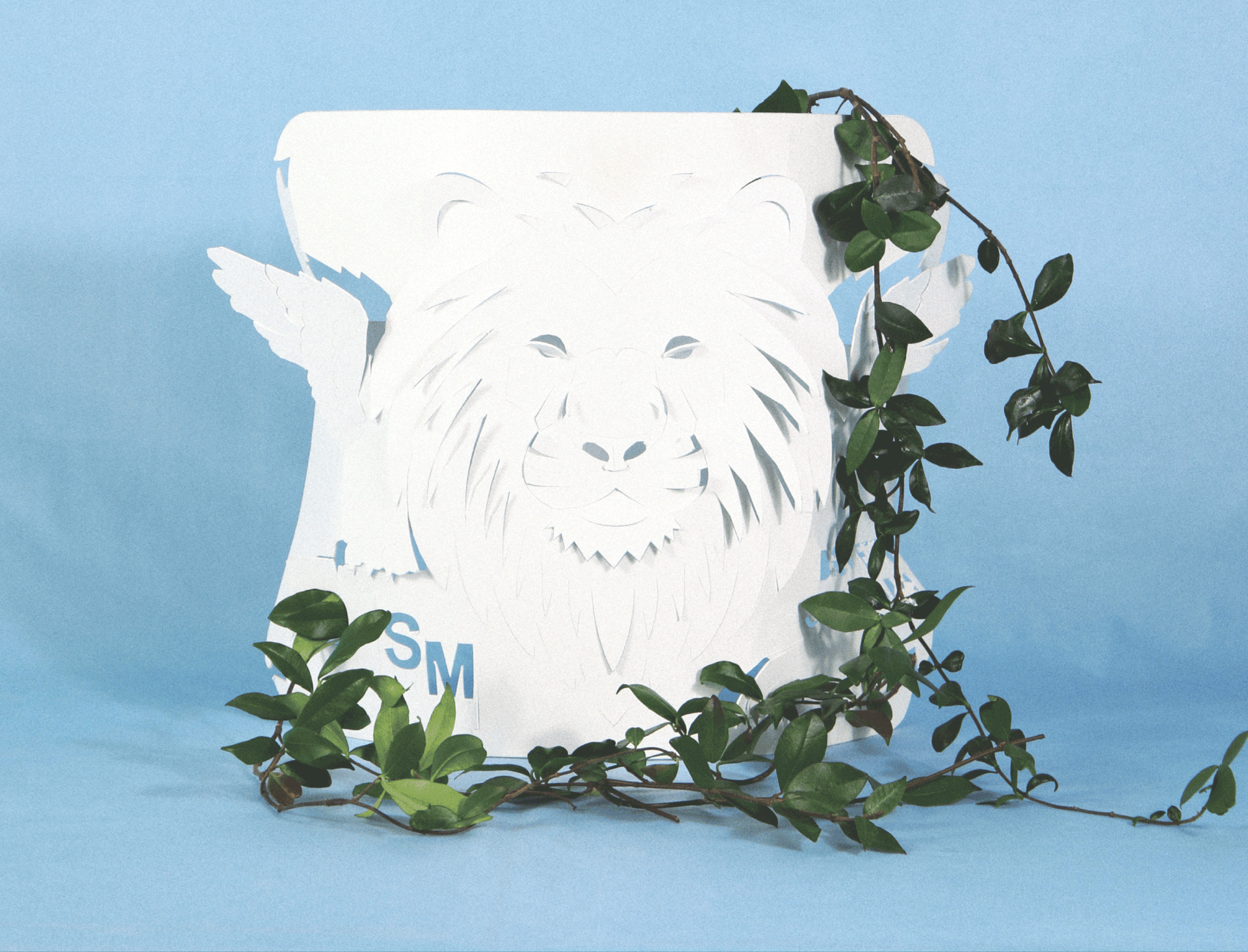 Immagine: Metti un gelsomino ed è subito primavera