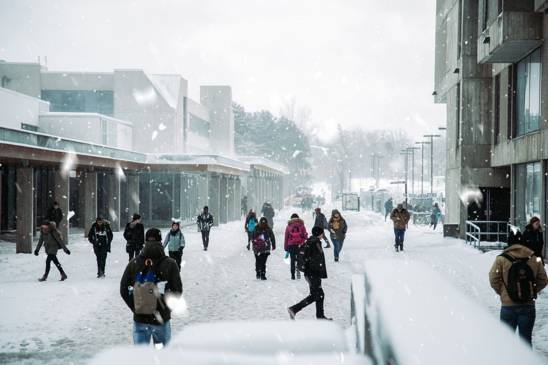 Immagine: Servizio lamatura e sgombero neve pertinenze scolastiche - stagione 2023-2024