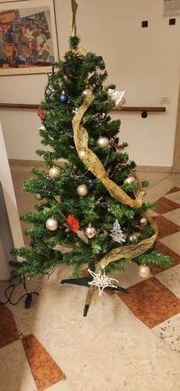 Smaltimento alberi di natale