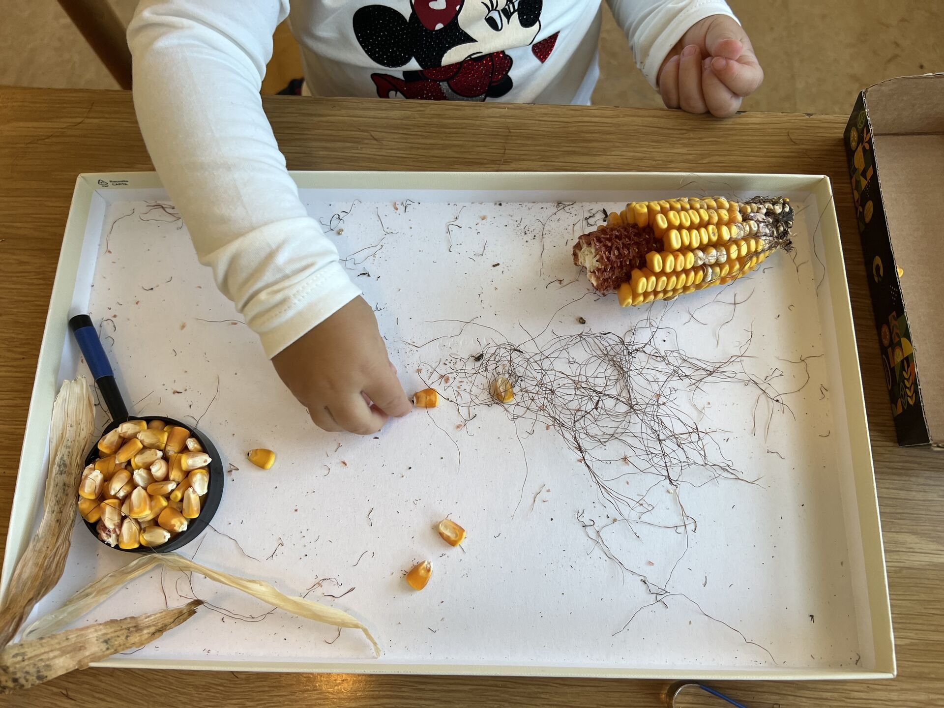 Immagine: Asili Nido bambini che giocano