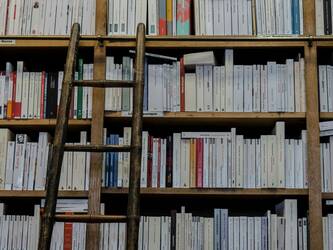 Immagine: biblioteca