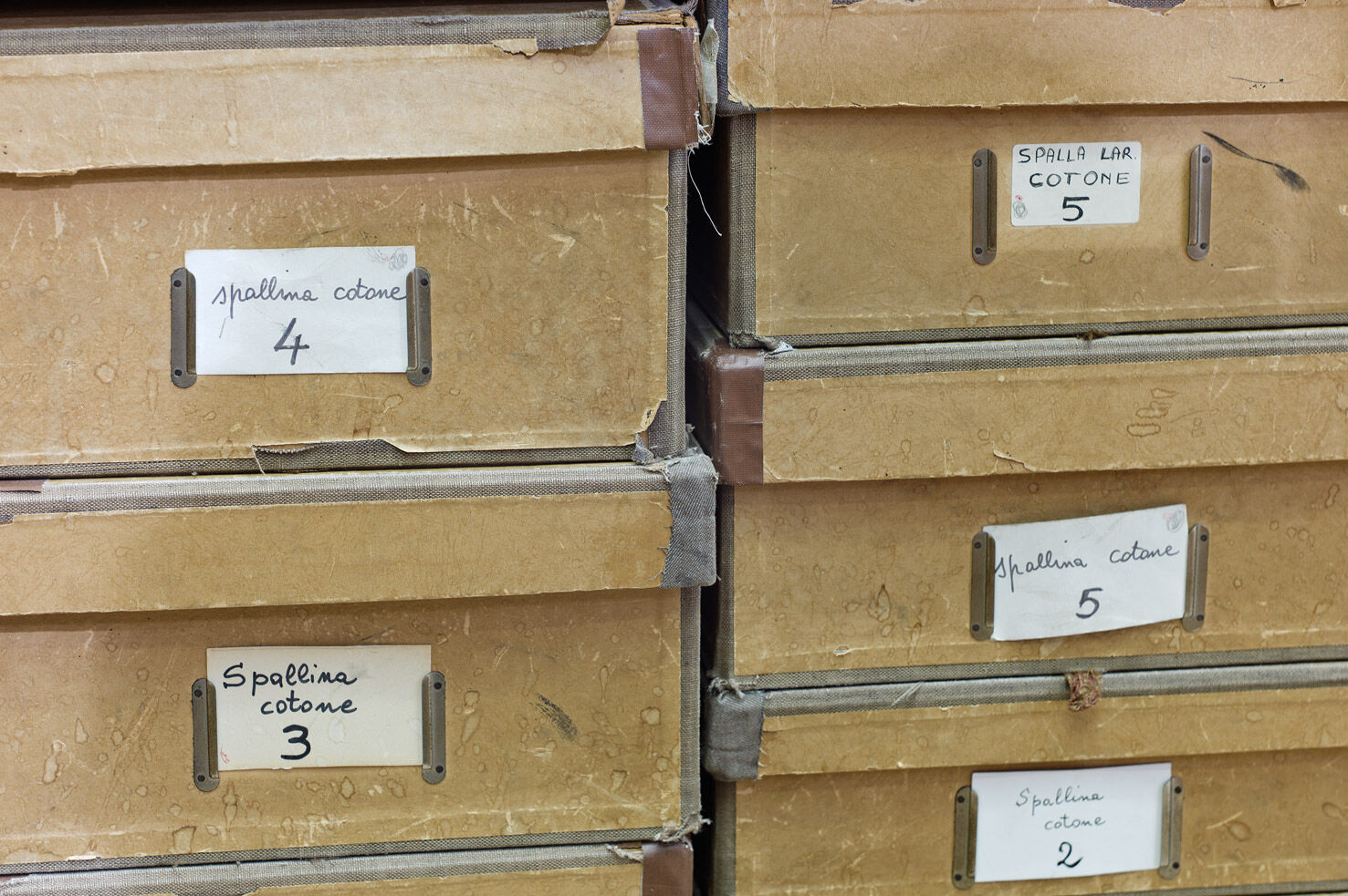 Immagine: Braccini scatole