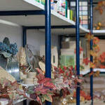 Immagine: Caresia scaffali