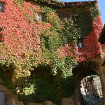 Immagine: Castelloretro3