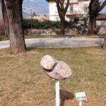 Immagine: Giardini Fedrigotti