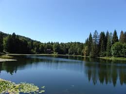 Immagine: Lago di Cei Comune di Villalagarina