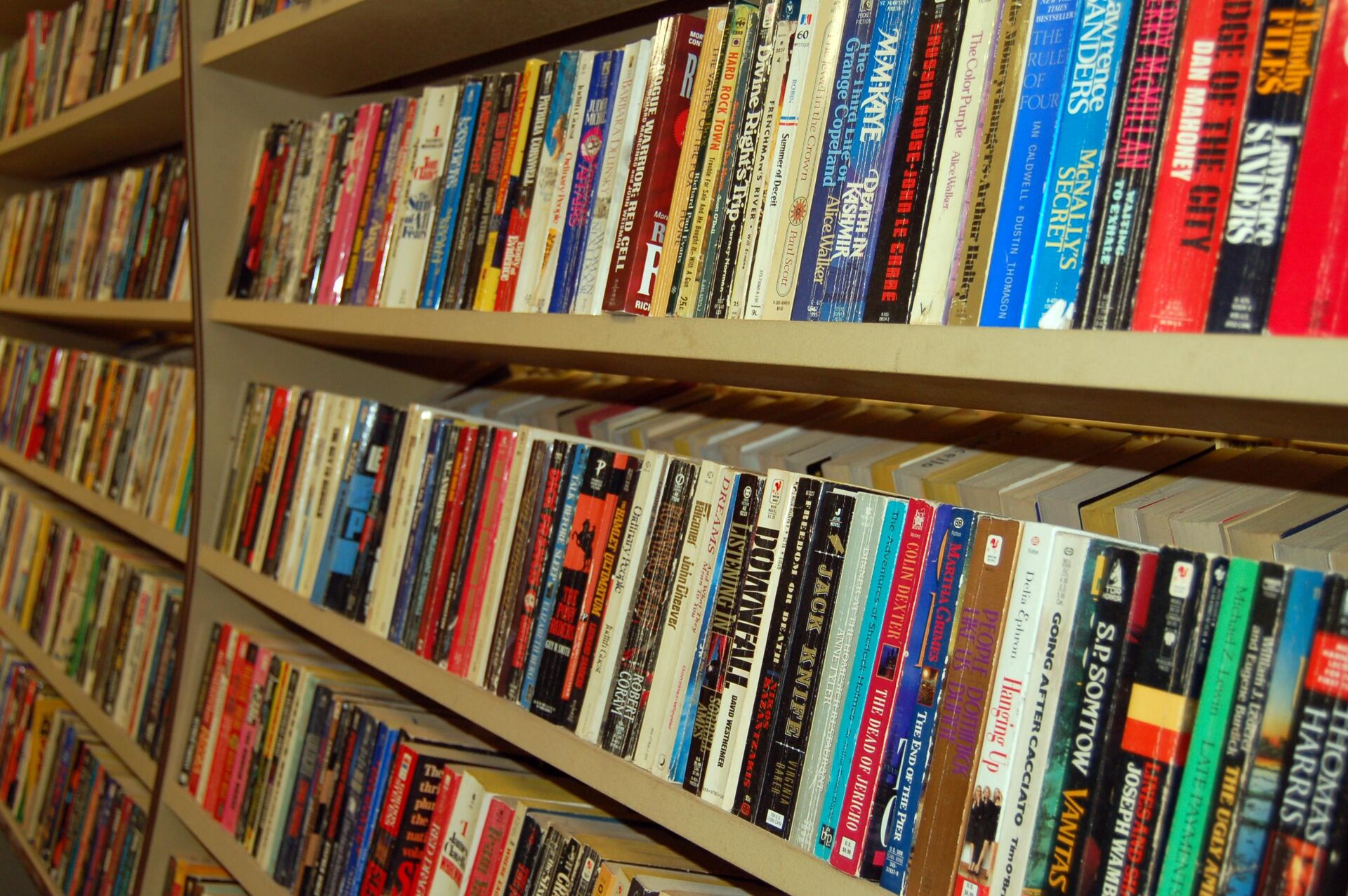 Immagine: Libri in biblioteca