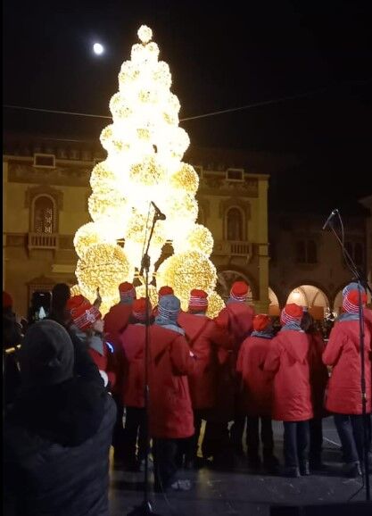 Immagine: Natale Rovereto
