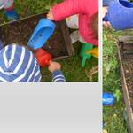 Immagine: Nido Aquilone