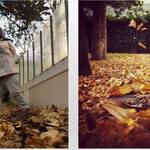 Immagine: Nido Aquilone