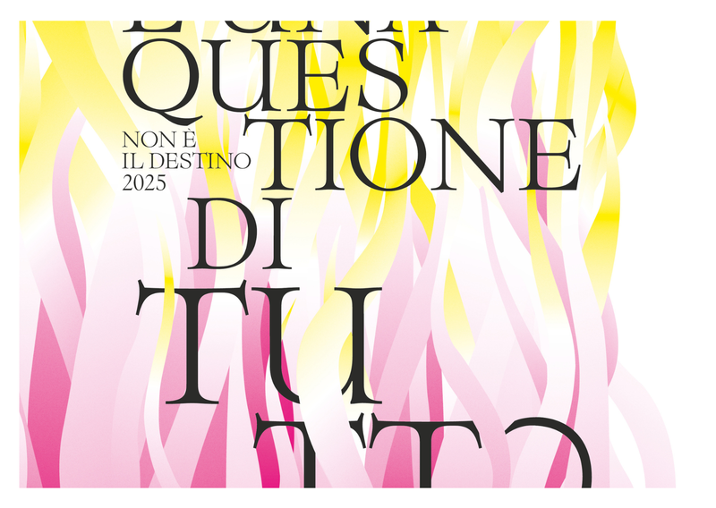 Immagine: non è destino