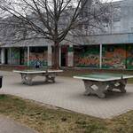 Immagine: Parco di S