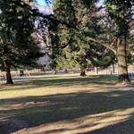 Immagine: Parco Perlasca