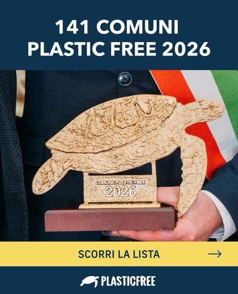 Ora anche Rovereto è Comune Plastic Free