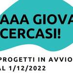 Immagine: Scup 3
