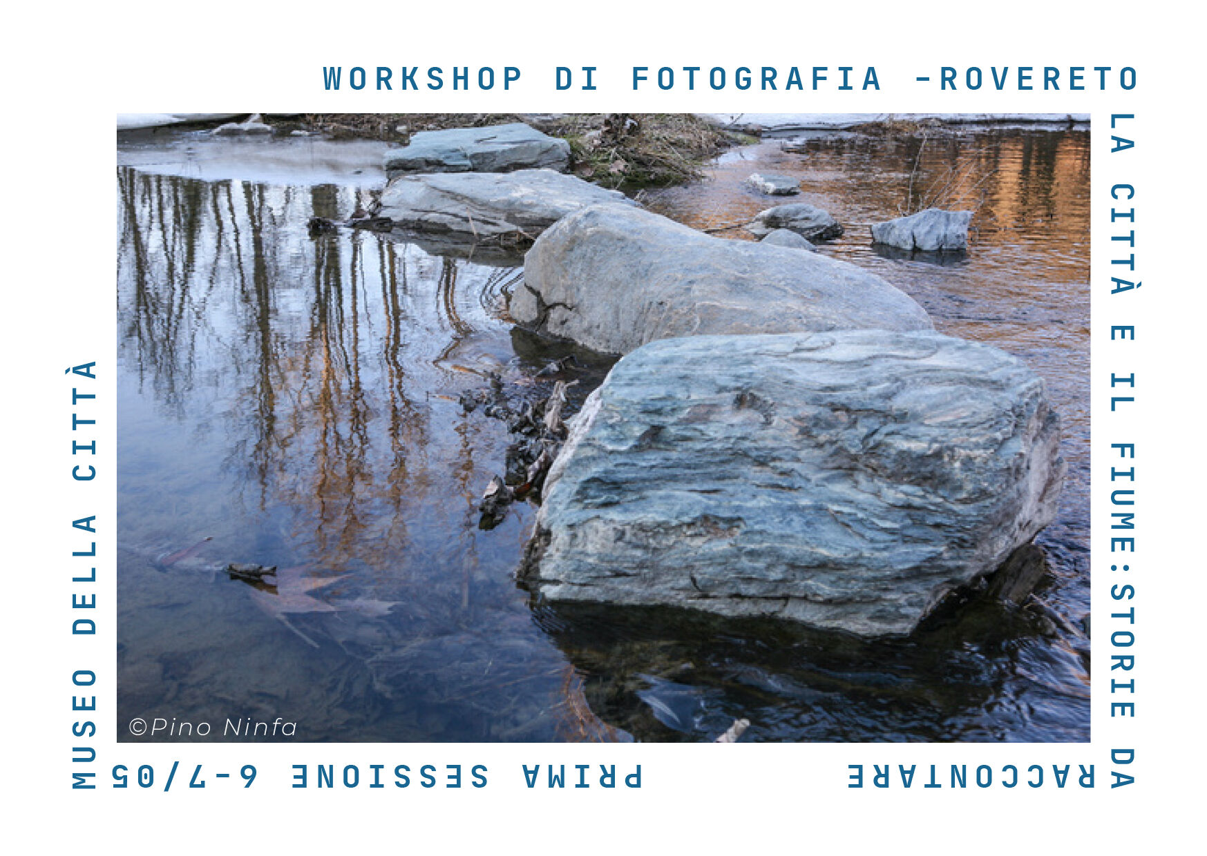 Immagine: Workshop pino ninfa 1