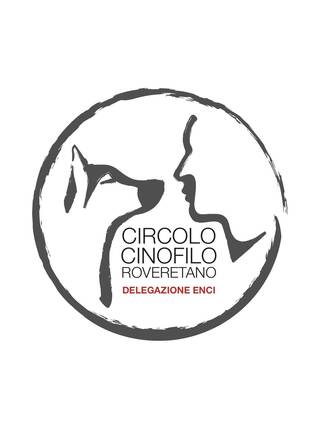 Immagine decorativa