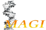 Immagine decorativa Immagine decorativa