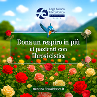 Immagine decorativa