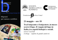 Immagine decorativa