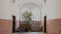 Immagine decorativa