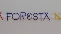 Immagine decorativa