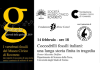 Immagine decorativa
