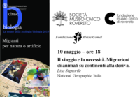 Immagine decorativa