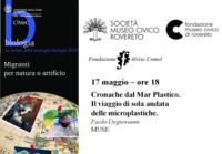 Immagine decorativa