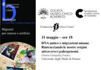 Immagine decorativa