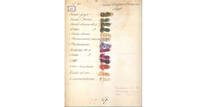 Immagine decorativa