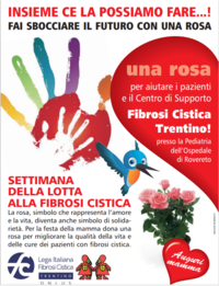 Immagine decorativa