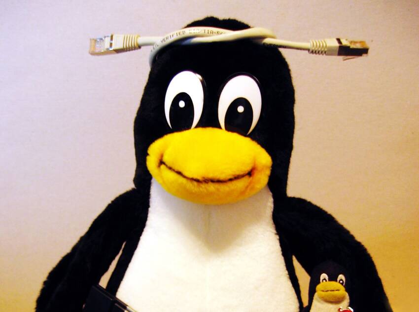 pupazzetto del pinguino-logo Linux pupazzetto del pinguino-logo Linux