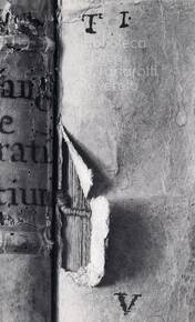 Dorso di libro antico strappato dove si intravedono i fascicoli e i nervi scoperti. Foto in bianco e nero di Pino Musi (BCR)