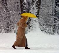 donna che cammina con un ombrello sotto una nevicata nel bosco