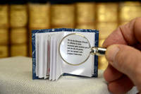 Foto BCR - Florio Badocchi 2014