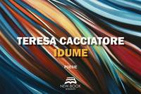 copertina del libro Idume