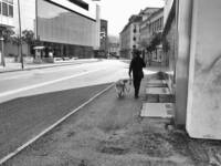 Fotografia di Stefano Paglia