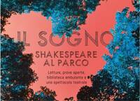 particolare locandina