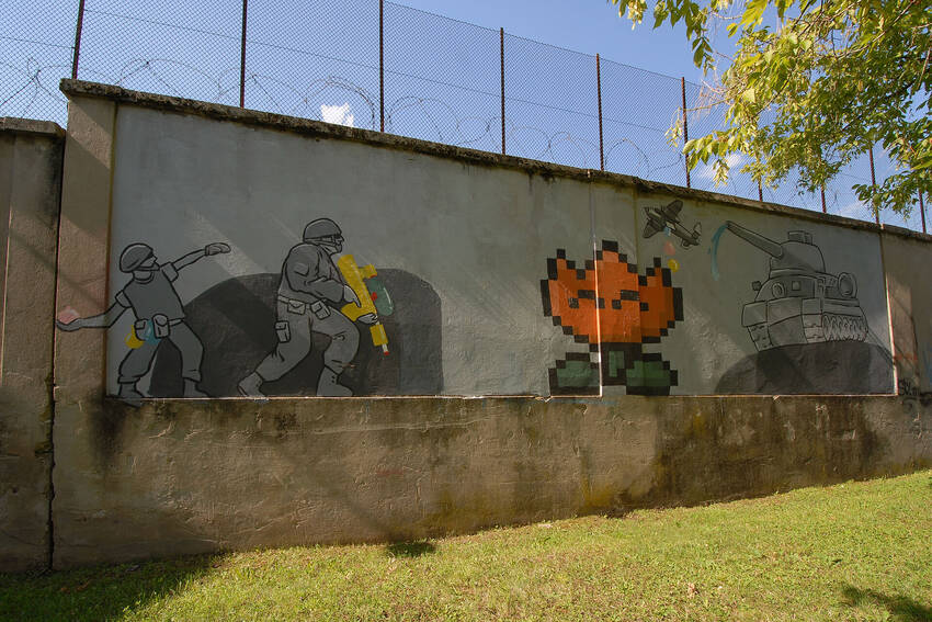 fOTO DI fLAVIO CESCOTTI