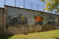 fOTO DI fLAVIO CESCOTTI