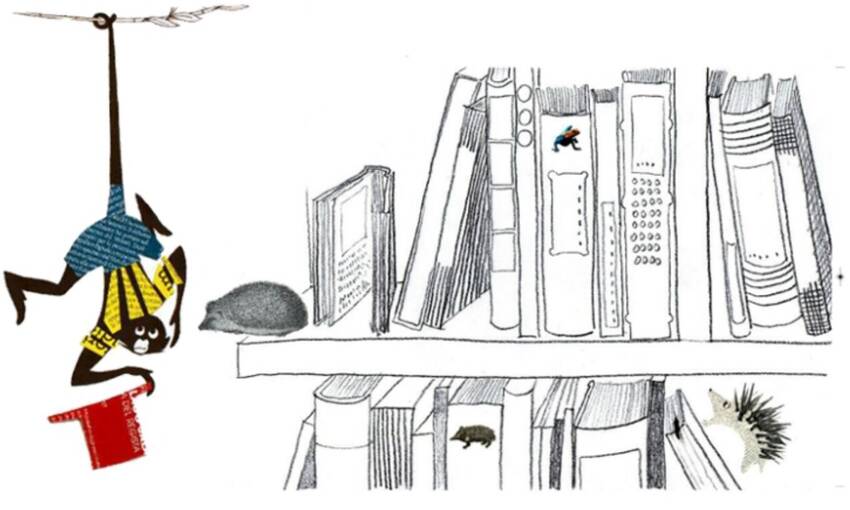 Ricci e scimmia in una libreria
