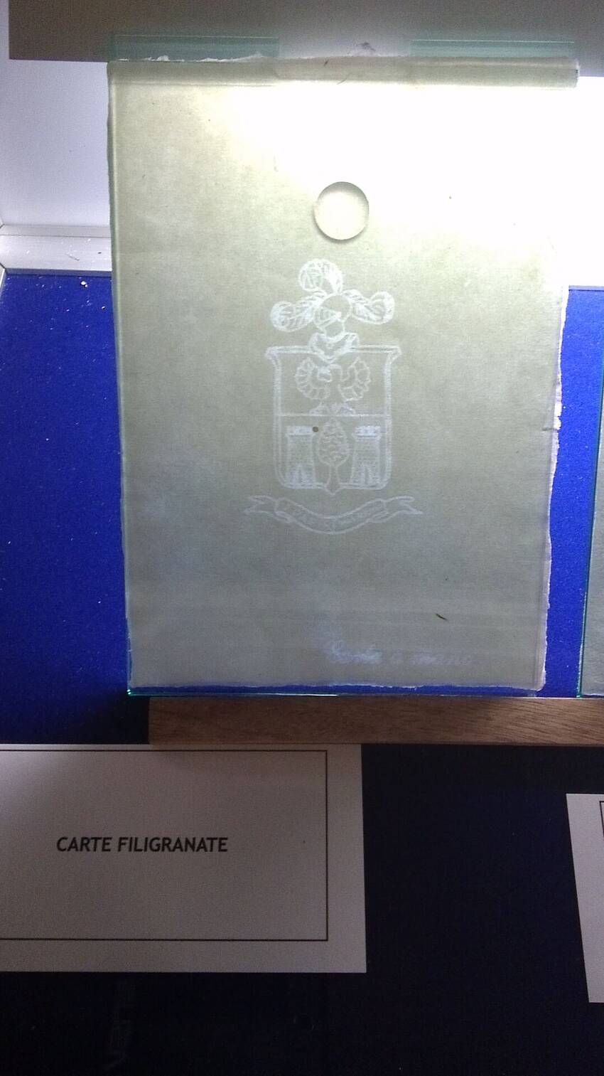 Carta filigranata