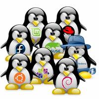 icone pinguini Linux