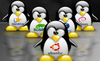 Pinguini linux