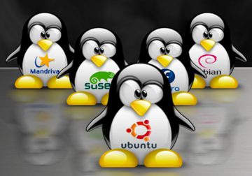 Poinguini Linux