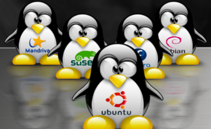 Pinguini linux