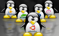 linuxini