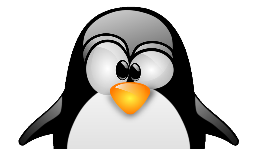 Pinguino simbolo di Linux
