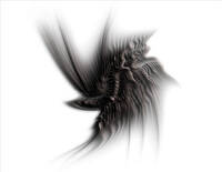 Titolo: Blackstar – dedicated to David Bowie Tecnica: Computergraphic - Photoshop CS6 Supporto: vinile opaco su forex Anno: 2016